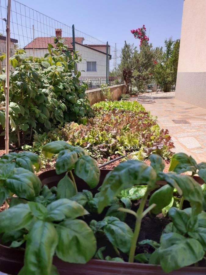 Apartments Morje Umag Luaran gambar